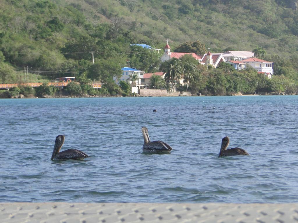 Posada Sunshine Paradise Providencia Island Ngoại thất bức ảnh