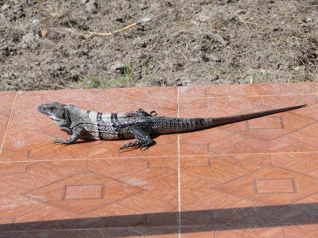 Posada Sunshine Paradise Providencia Island Ngoại thất bức ảnh