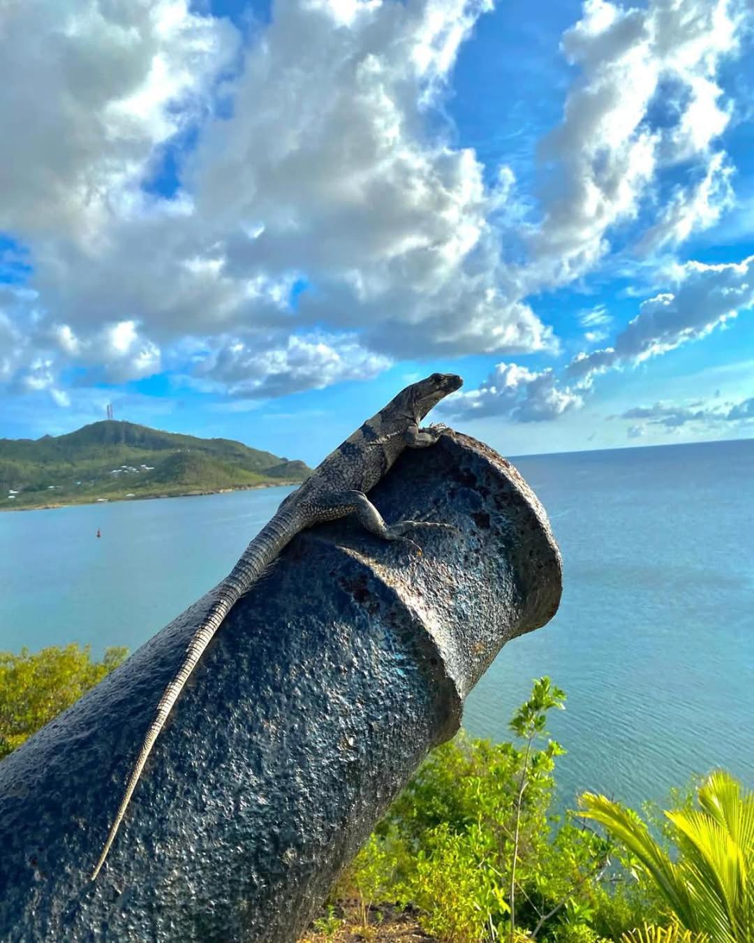 Posada Sunshine Paradise Providencia Island Ngoại thất bức ảnh