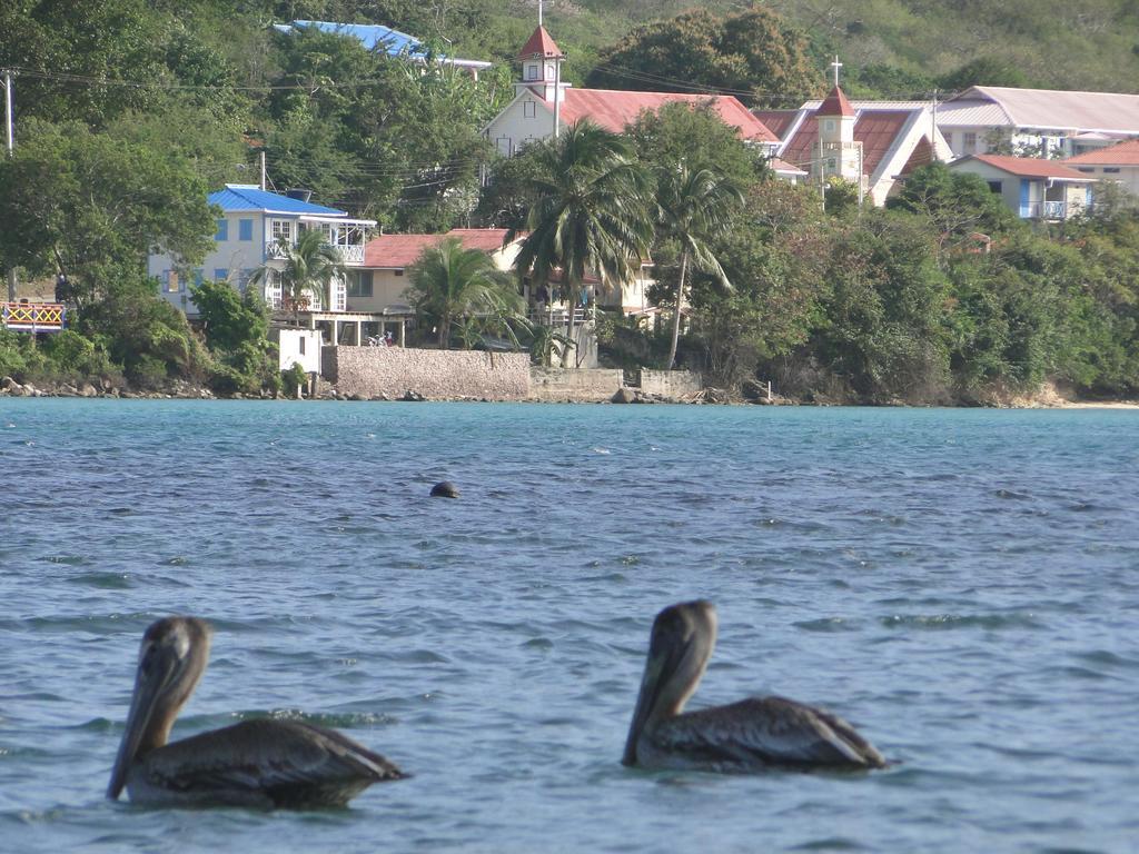 Posada Sunshine Paradise Providencia Island Ngoại thất bức ảnh