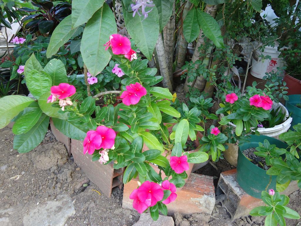 Posada Sunshine Paradise Providencia Island Ngoại thất bức ảnh
