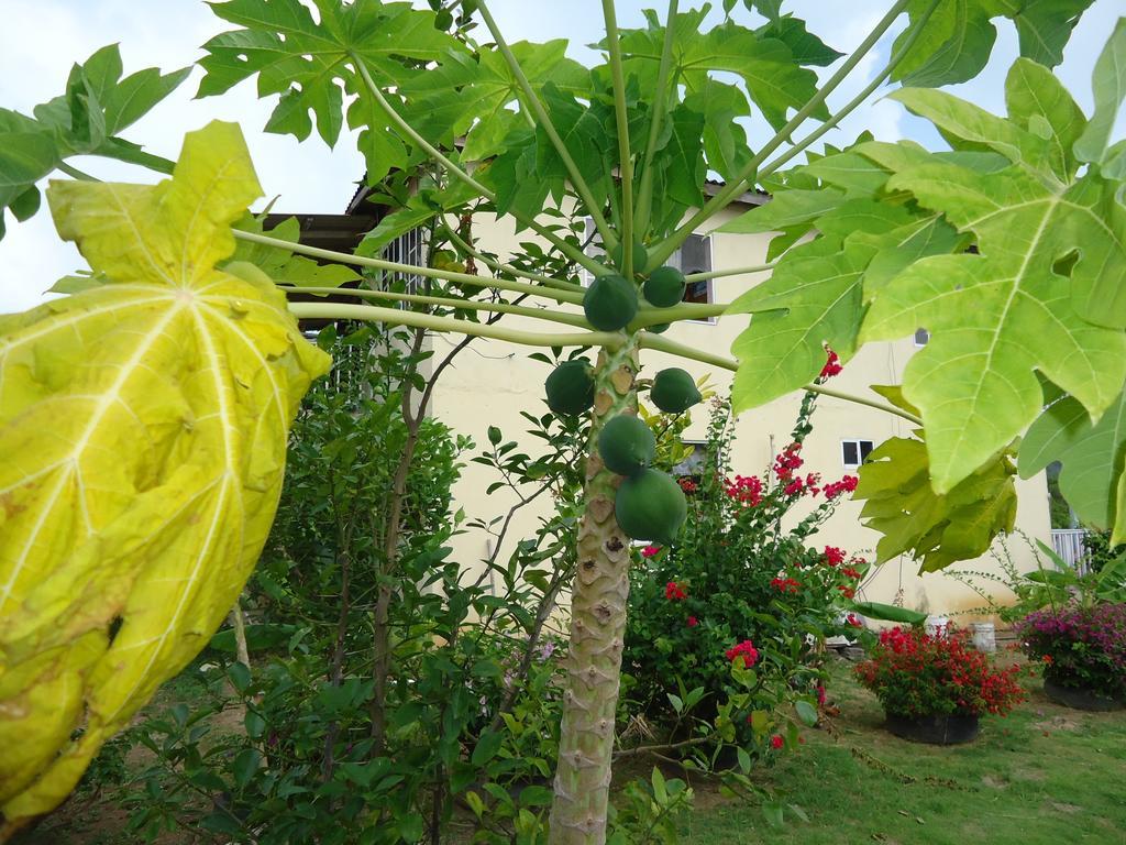 Posada Sunshine Paradise Providencia Island Ngoại thất bức ảnh