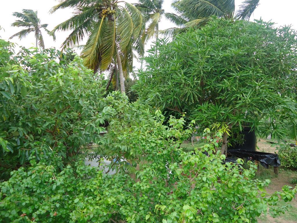 Posada Sunshine Paradise Providencia Island Ngoại thất bức ảnh