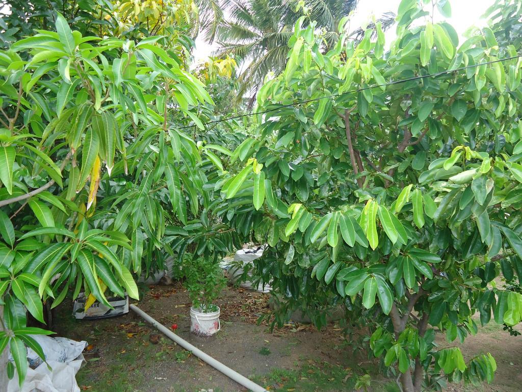 Posada Sunshine Paradise Providencia Island Ngoại thất bức ảnh