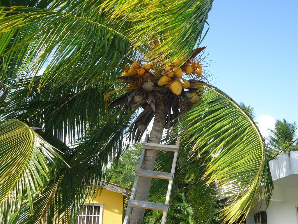 Posada Sunshine Paradise Providencia Island Ngoại thất bức ảnh